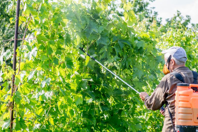 Grape Arbor Installation