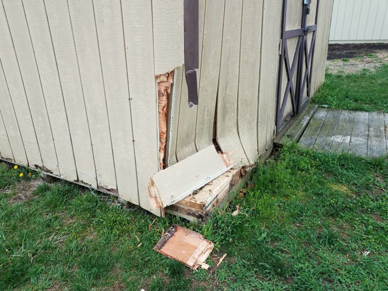 Shed Damage Repair in Olathe, KS
