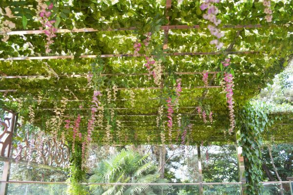 Grape Trellis Building